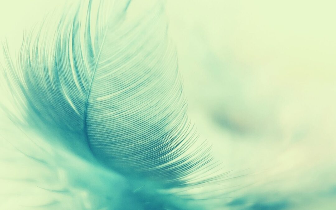 Sind Frauen raum-sensibler? – Warum wir Räume unterschiedlich wahrnehmen