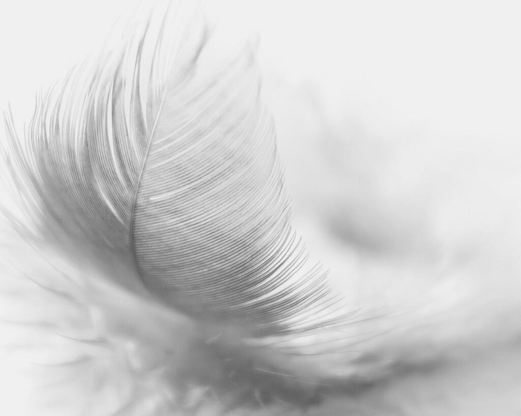 sind Frauen raumsensibler